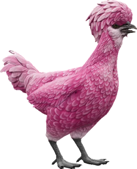 Polonesa Rosa