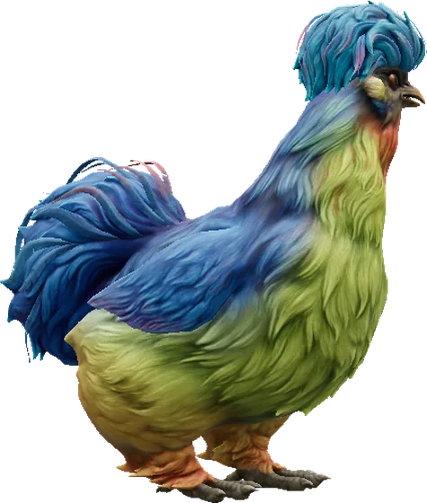 Silkie Azul com barba vermelha