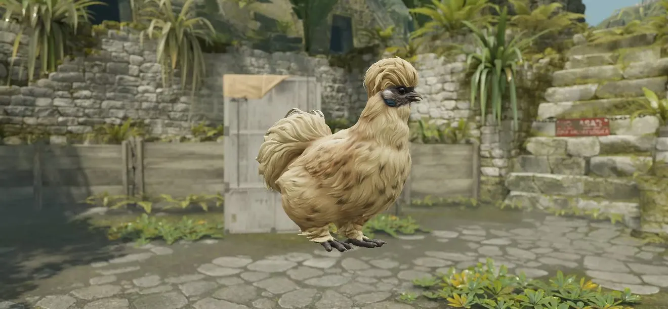A Silkie hen on Ancient, from the game