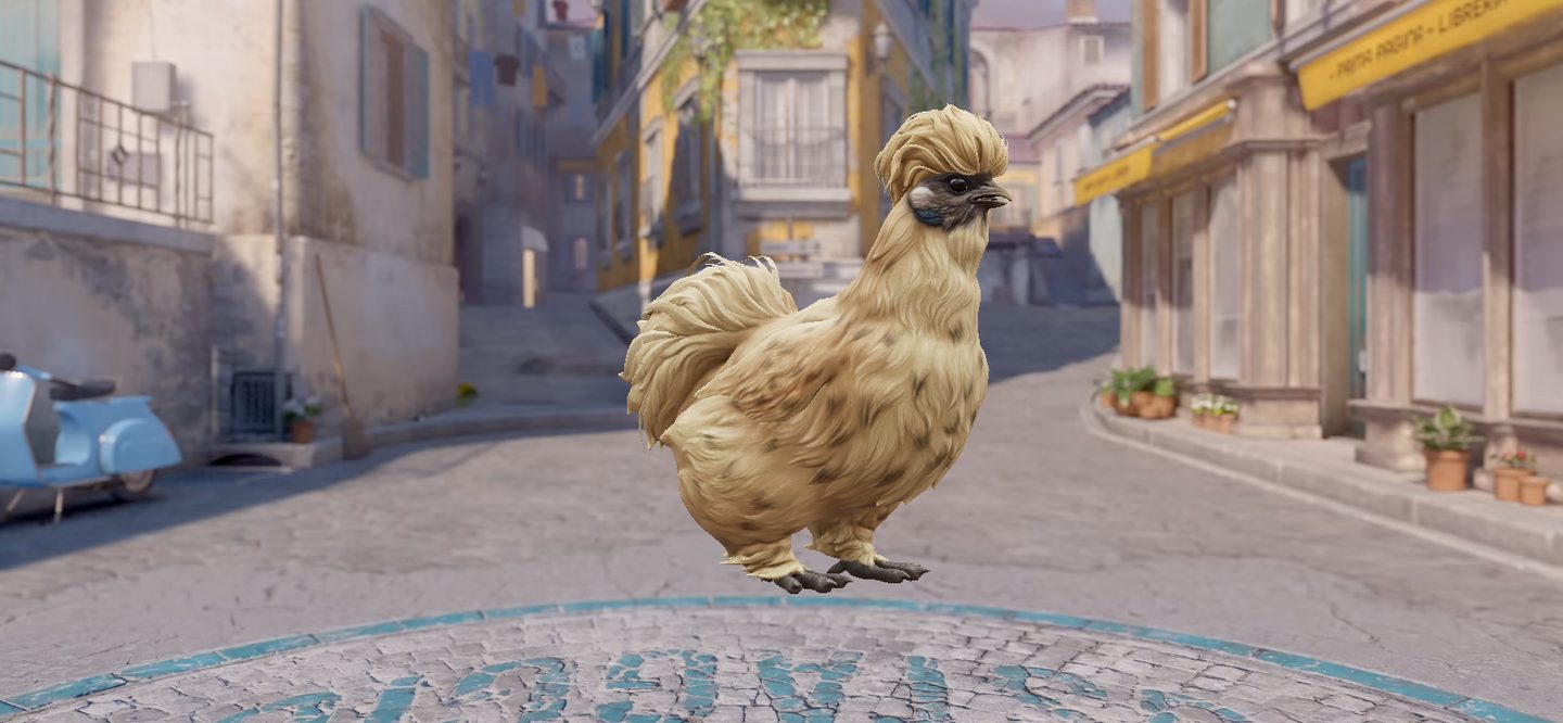 A Silkie hen on Italy, from the game