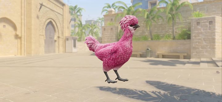 The bird on a map, a still from the game's 3D viewer