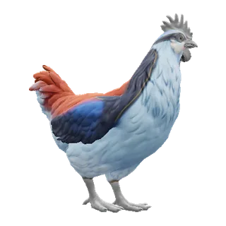 Light Blue and Red